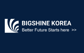 BIGSHINE KOREA CO. LTD.