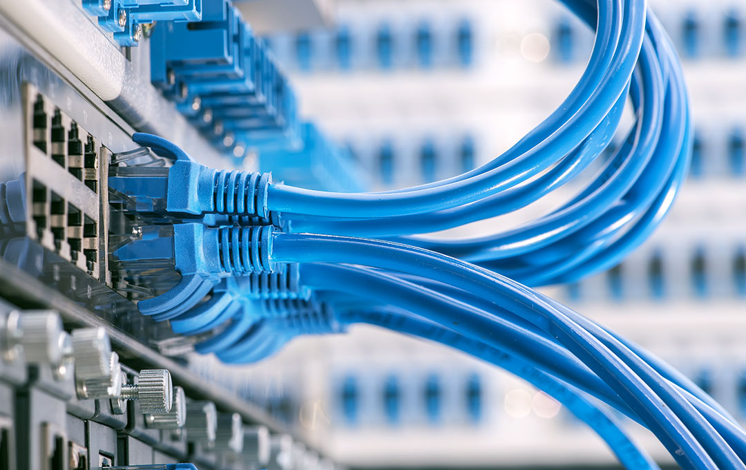 A bundle of blue ethernet cables connected to a server.